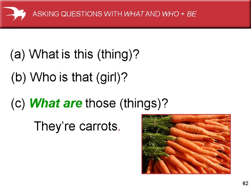 62 They’re carrots. (b) Who is that (girl)?      